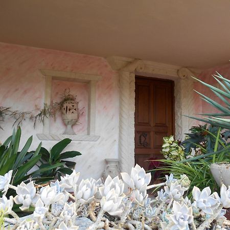 Villa Annina B&B Tropea Eksteriør billede